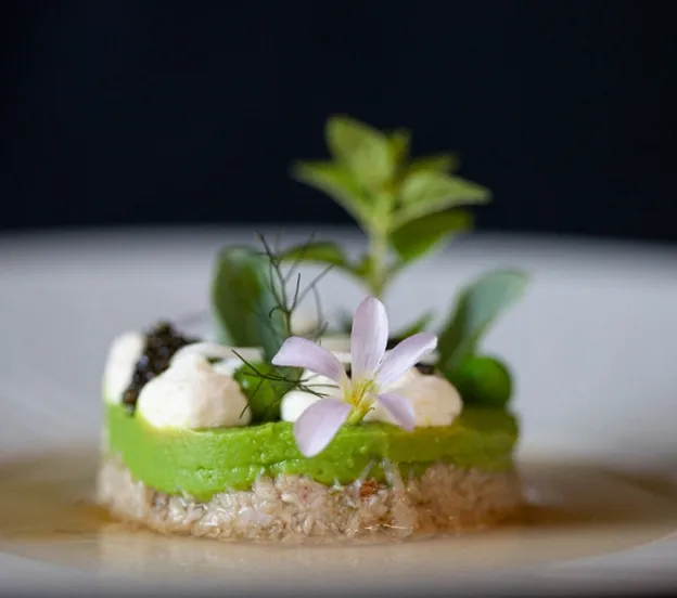 Assiette gastronomique élégante décorée de fleurs et herbes fraîches sur base croustillante