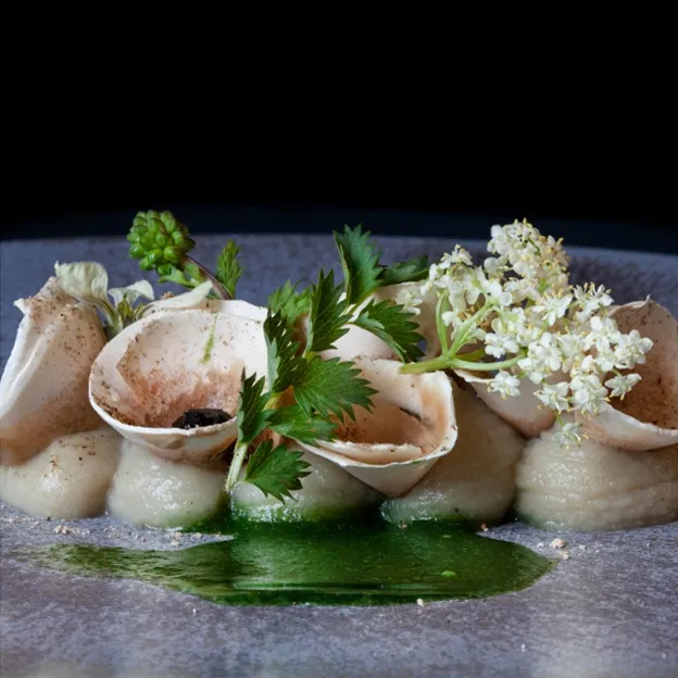 Assiette gastronomique raffinée dans des coquilles avec herbes et fleurs comestibles