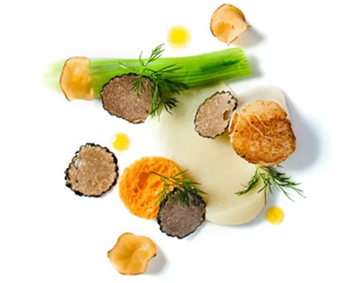 Assiette gastronomique avec truffe, légumes et herbes fraîches sur fond blanc.